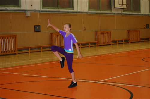 Obrázek v galerii